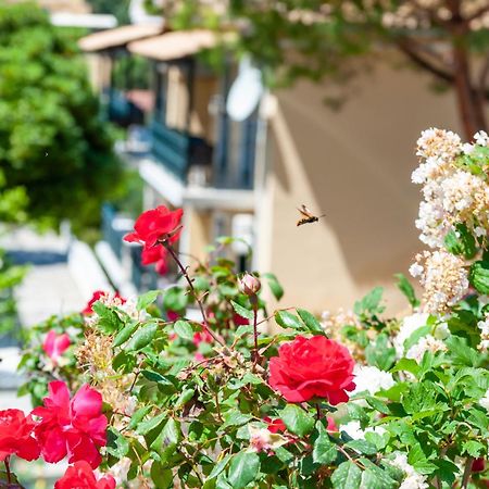 Apart Hotel Blumarin Agios Gordios  Ngoại thất bức ảnh